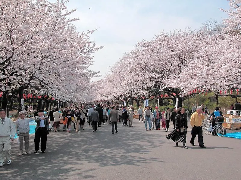 Gasthof Mervielle Ueno Präfektur Tokio